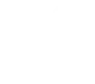 DI2 Logo